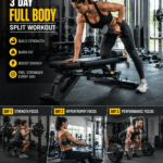 3 day full body split workout